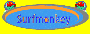 surfmonkey logo